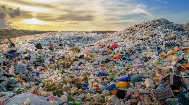 Peringati Hari Lingkungan Hidup, GMPI Minta Pemerintah Serius Tangani Sampah